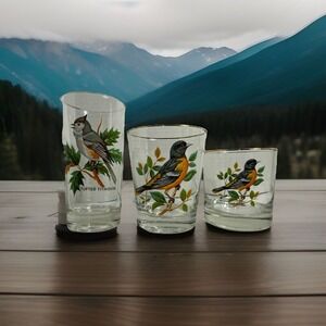 Vintage West Virginia Drinking Glasses American Songbird Gold Rim 3 Sizes